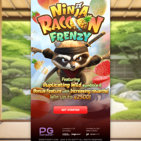Slot Ninja Raccoon Frenzy: Ninja Adorável, Explosões Frenéticas!
